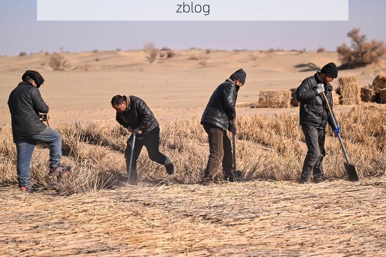 东辽县：寒地黑土上的零感染坚守