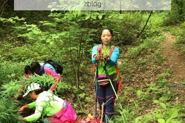 罗山县：大别山腹地的疫情防线与破防时刻_64504