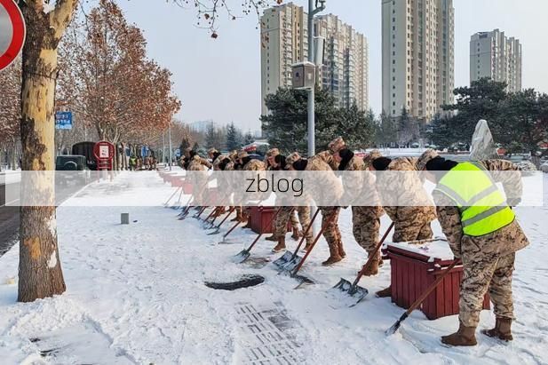 鹤岗：煤城寒地的防疫屏障与破防时刻