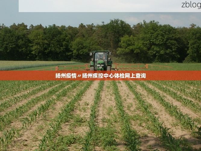 31省新增本土12例(31省新增本土确诊13例)，天峻县疫情引关注