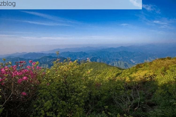 【桐城：大别山屏障下的低感染率样本解析_52772】