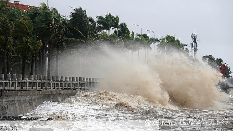 湛江：雷州半岛湿热季风下的疫情防线_70405