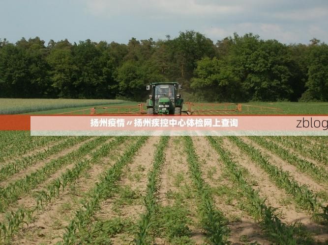31省新增本土8例(31省新增本土12例)，武义县突发聚集疫情！