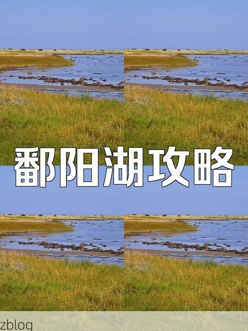 鄱阳湖畔的坚守：都昌县零感染背后的地理屏障