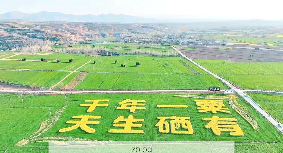 伊川：伏牛山屏障下的零感染坚守与破防时刻_26352