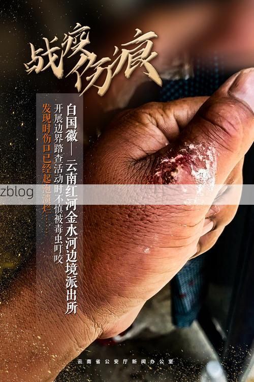 太和区：交通枢纽下的疫情破防与精准围堵