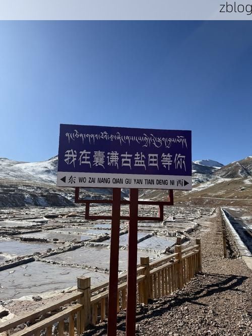 【西藏措勤：海拔4700米的高原屏障如何实现零感染？】
