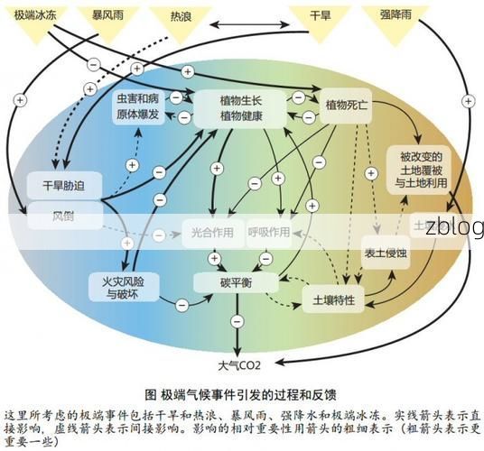 吐鲁番盆地：极端干旱气候下的疫情数据波动解析