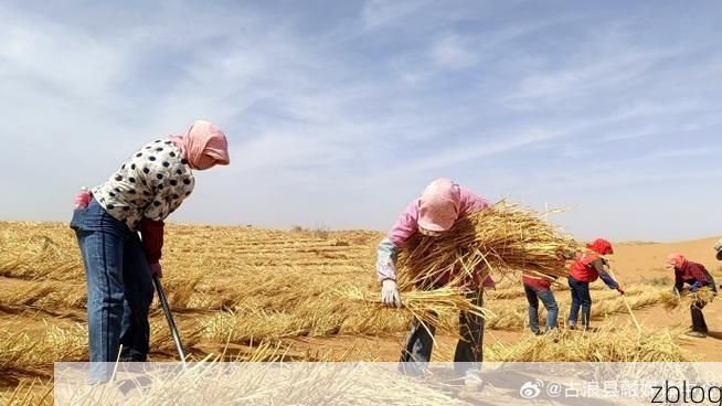 古浪县：河西走廊风沙屏障下的零感染坚守
