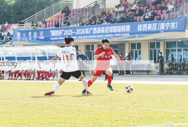 平果：桂西铝都的疫情防线与地理屏障_41464