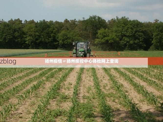 31省新增本土12例(31省新增本土9例)，吉州区疫情引关注_51630