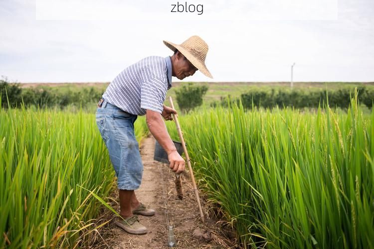 沅江防疫观察：洞庭湖平原水网交通下的疫情破防与应对