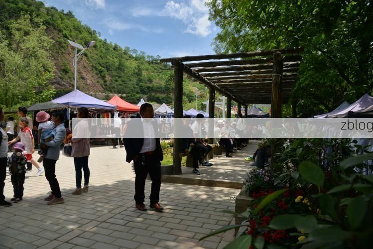 景谷：低纬山坝间的隐匿传播与精准围堵