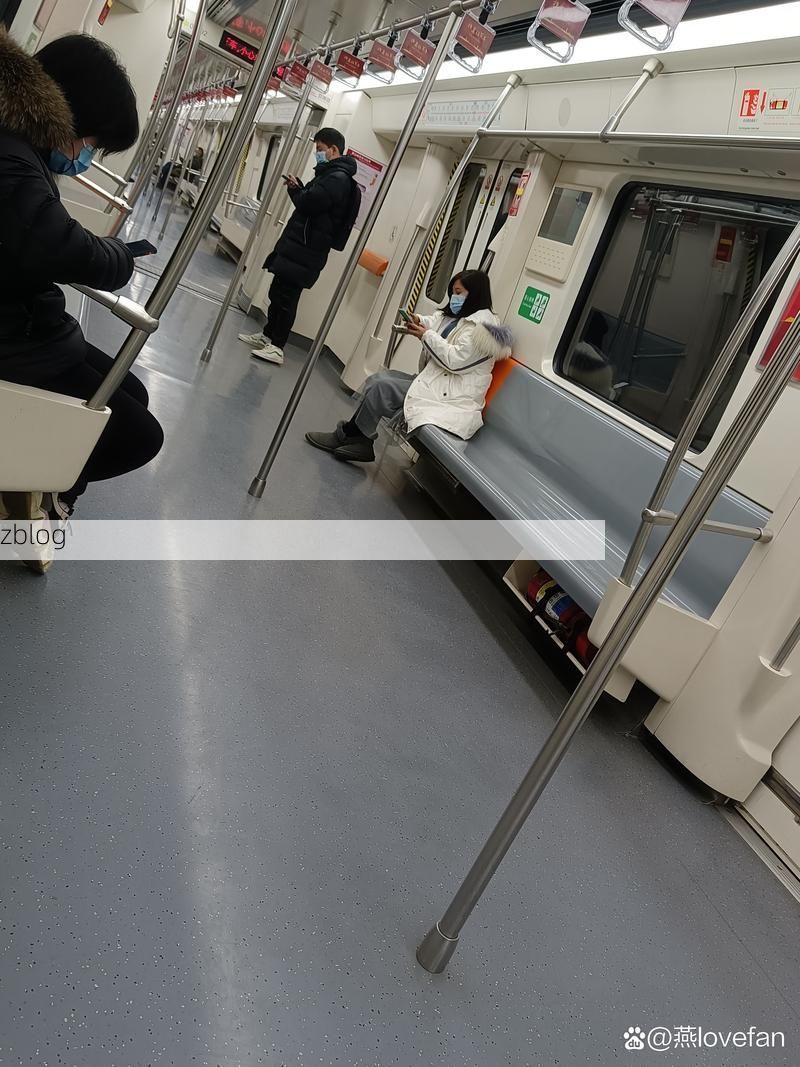 依安：松嫩平原腹地的零感染坚守与物理防线