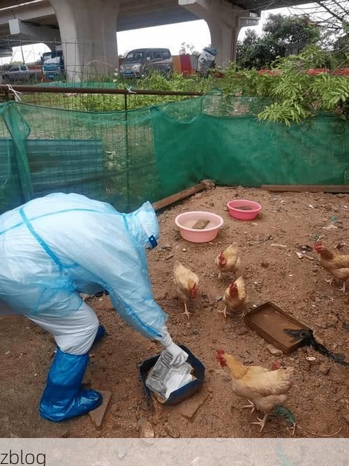 本地确诊+3,荔城区通报新增病例情况