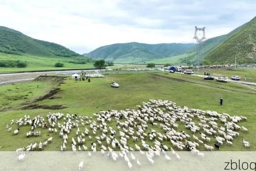 阿鲁科尔沁旗：草原屏障下的零感染坚守_22769