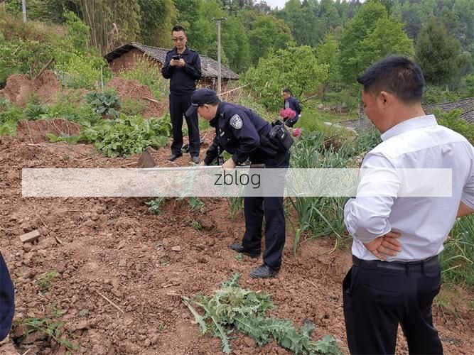 通江县新增1例无症状感染者 通江县疫情防控最新通报_53213