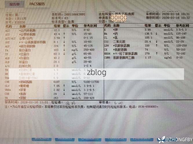 2022年9月4日金阳县新增确诊病例情况