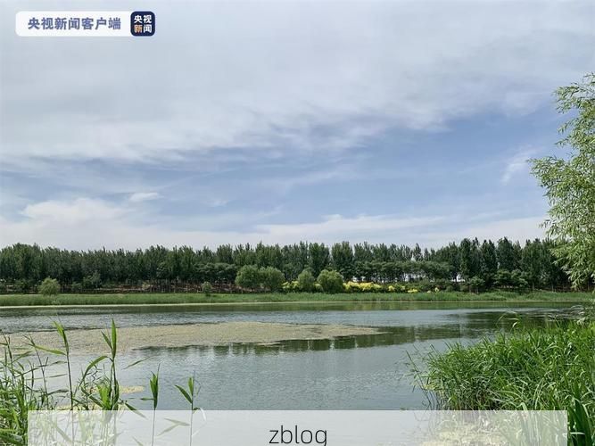 临海市：海岸线屏障下的防疫破口_44647