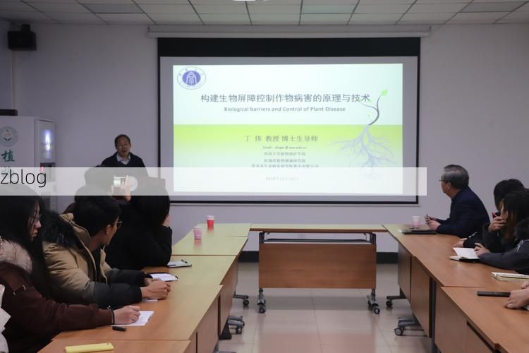 洪湖市：江汉平原水网下的防疫屏障与挑战