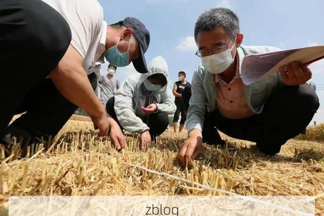杞县疫情透视:豫东平原上的防控攻坚与地理屏障