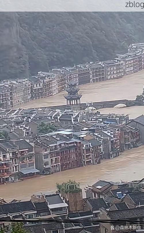 【水城之困：喀斯特地貌下的疫情围城与社区防控】