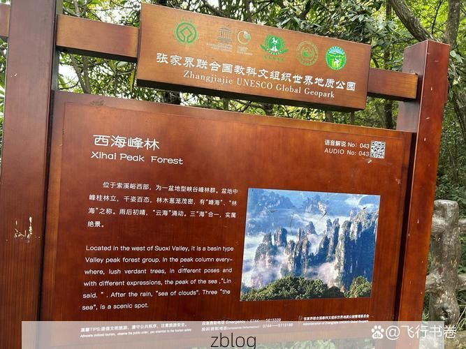【张家界:峰林屏障下的疫情破防与精准围堵_5550】