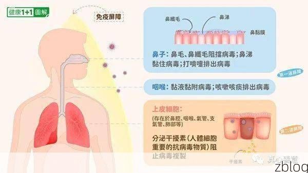 屯留：太行山坳中的零感染孤岛，物理屏障如何隔绝病毒？