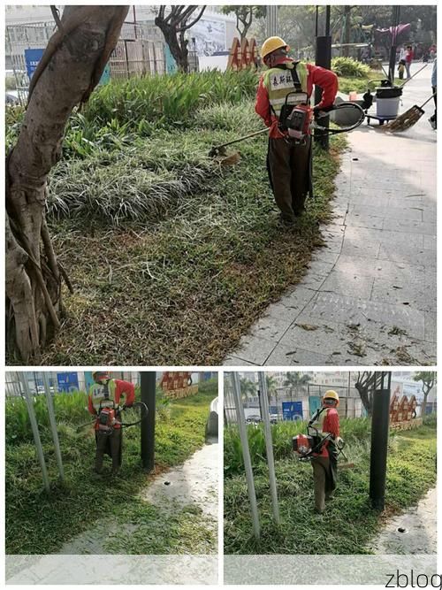 凤山疫情观察：岭南水网地形下的社区传播挑战