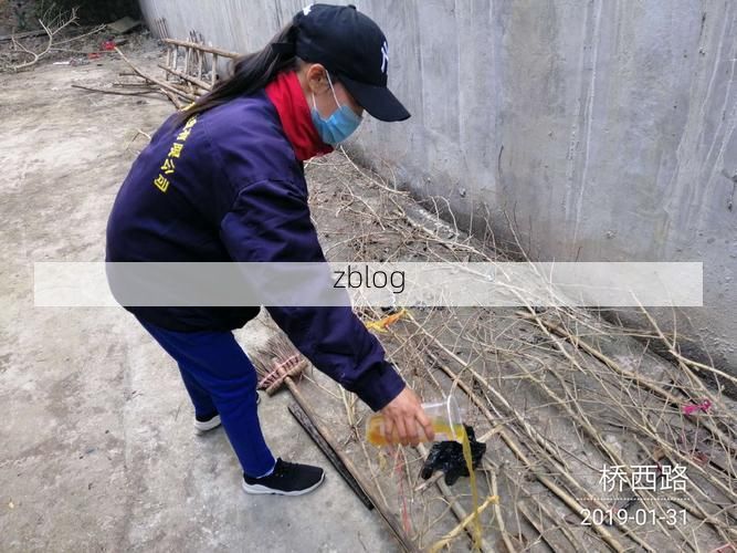 朔州市市辖区新增1例无症状感染者 朔州市市辖区疫情防控最新通报_71132