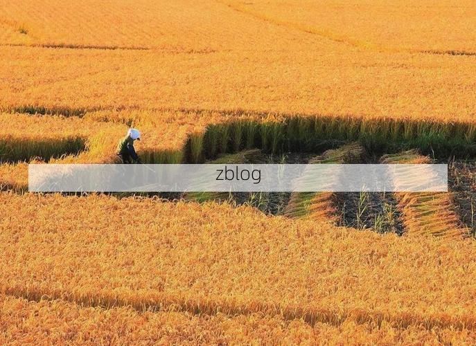 海伦：寒地黑土上的疫情防线与破防时刻_40157