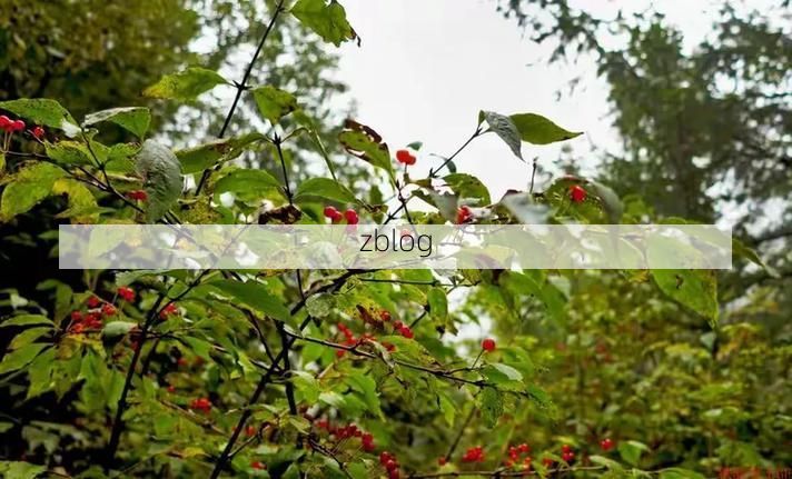 阜平山城防疫观察:地理屏障下的低感染样本