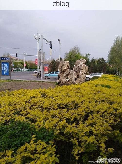 北林区：寒地黑土上的疫情防线与破防时刻_44536