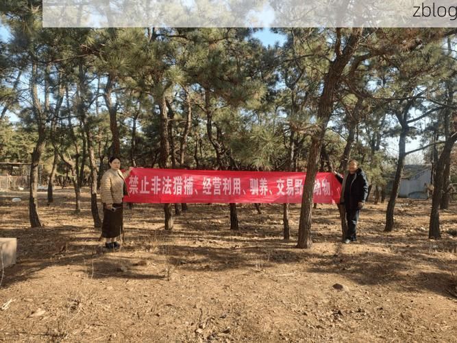 五台山下的防疫坚守:高海拔屏障与社区网格的协同效应