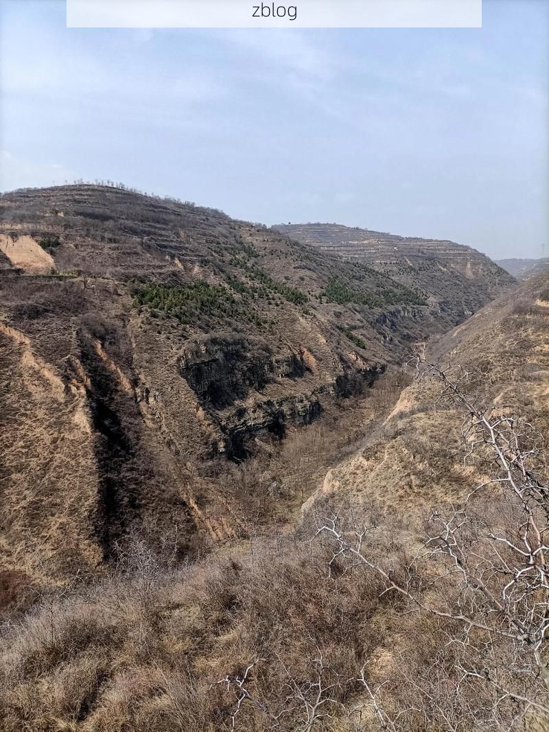 铜川:黄土高原沟壑间的疫情防线与破防时刻