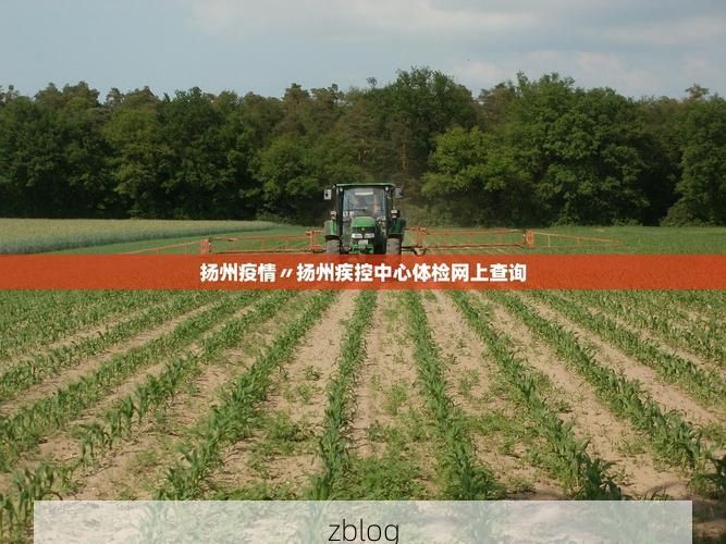 【31省新增本土12例(31省新增确诊38例),镇远县突发疫情引关注!】