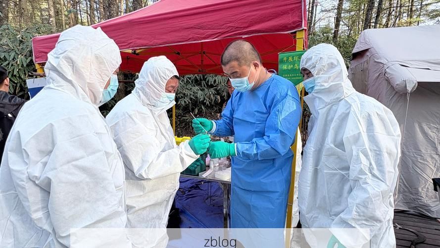 秦岭腹地的零感染坚守:宁陕地理屏障下的防疫实践