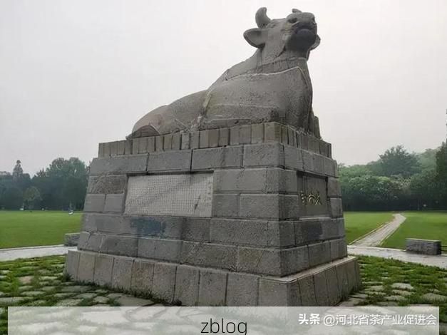 巨鹿县:华北平原腹地的防疫样本解析