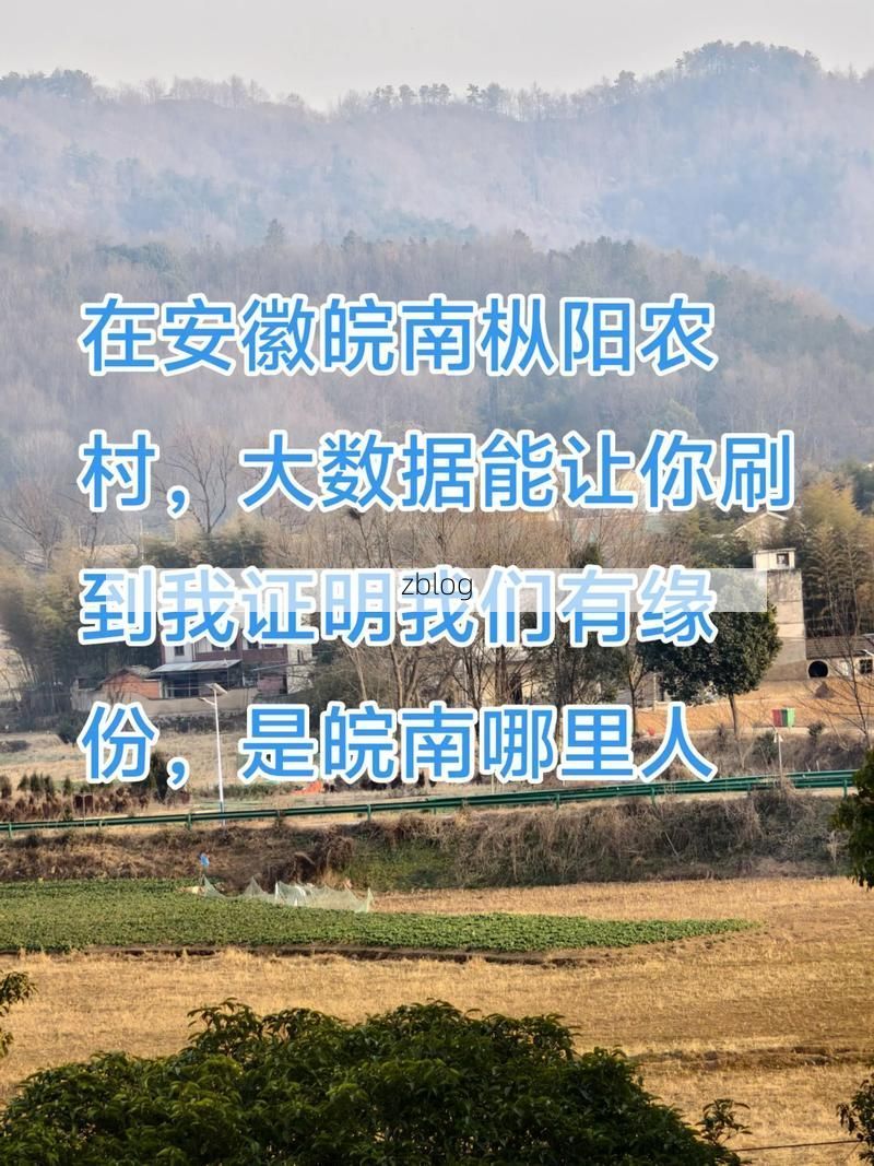 枞阳江畔的防疫坚守:一座皖南小城的疫情地理学