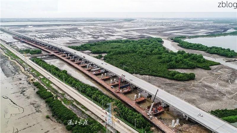 麻章区:雷州半岛交通要冲的常态化防控实践